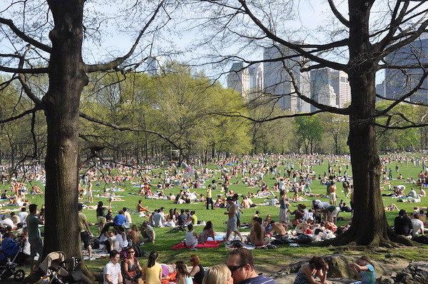 Sheep Meadow Central Park