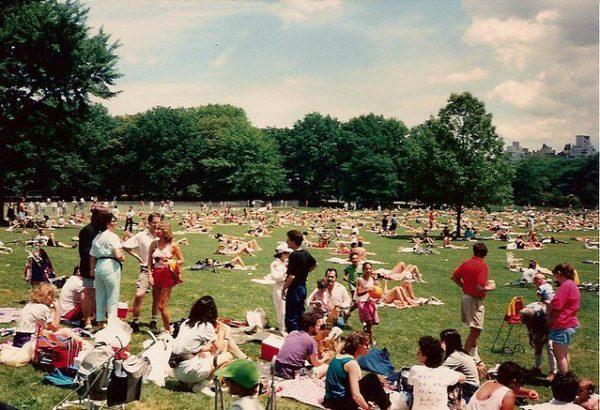 The Great Lawn Central Park