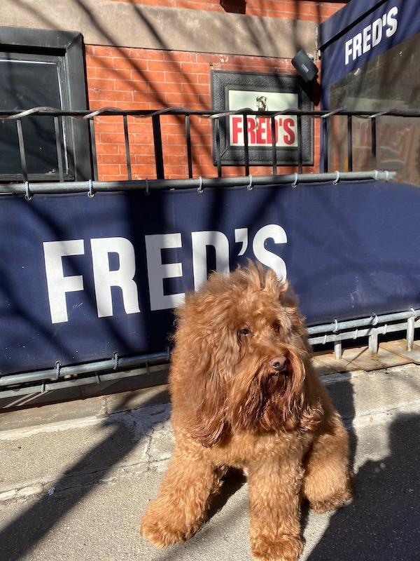 Fred's UWS