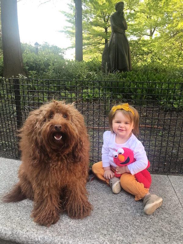 Riverside Park Dog