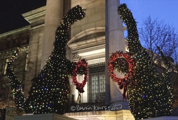 AMNH Topiaries