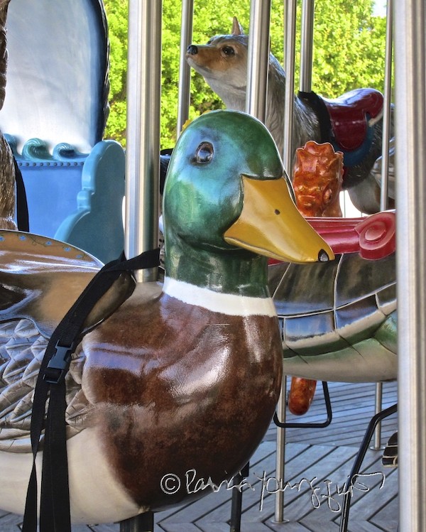 Central Park Carousel