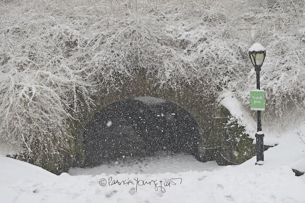 central park snow