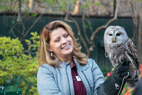 Wild Bird Fund Fundraiser