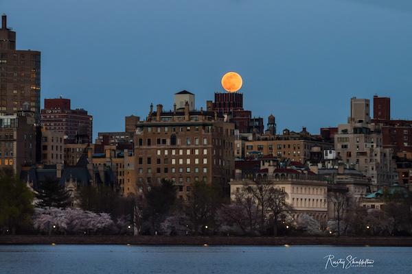 super pink moon central park