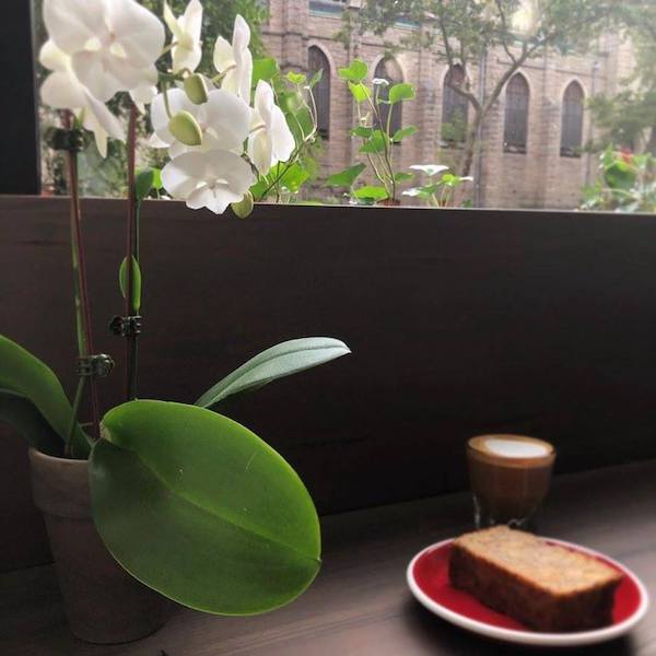 Gertrude NYC Coffee