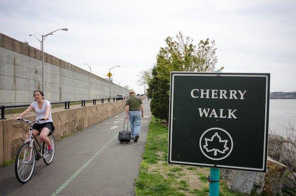 cherry walk riverside park