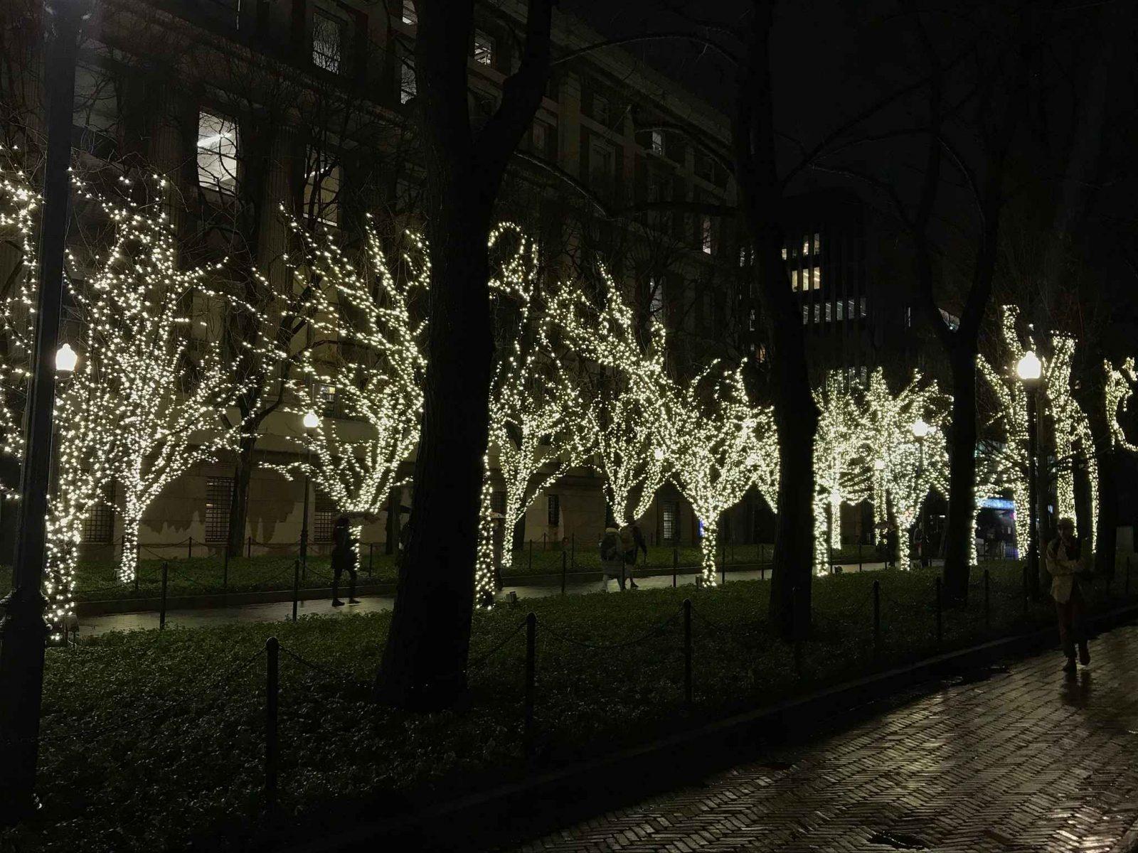 columbia university campus lit up trees