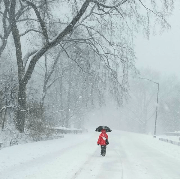 Winter Storm Orlena Central Park