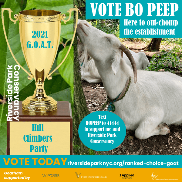 Ms. Bo Peep campaign poster