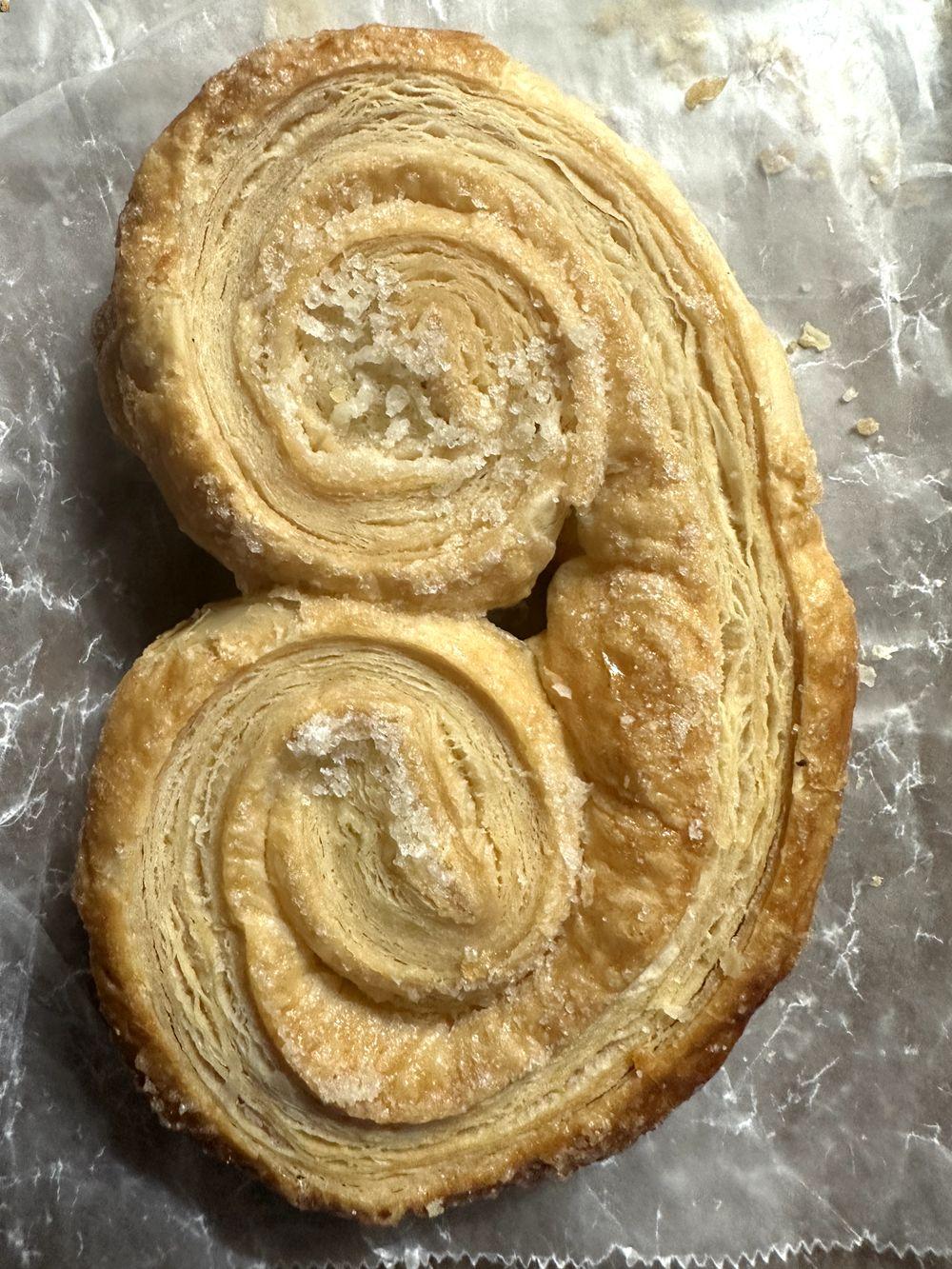 Silver Moon elephant ear