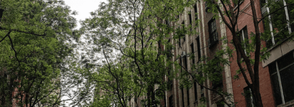 NYC Streets:  67th between Central Park West and Columbus Avenue