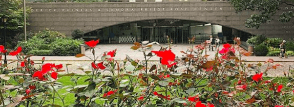Major Layoffs and Furloughs at The AMNH