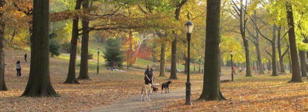 Booth Ferris Technology Grant Awarded to Riverside Park Conservancy