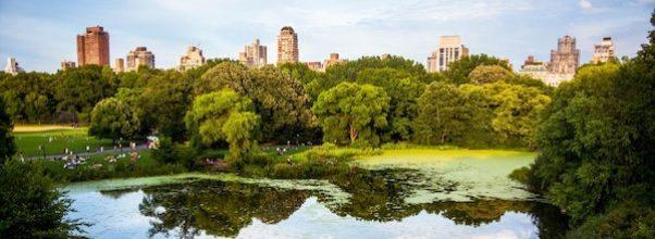 Central Park Has a New Soundtrack