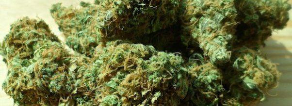 Upper West Side to Welcome Fourth Licensed Cannabis Dispensary