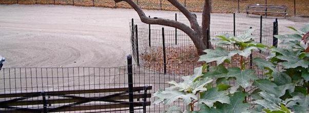 “Why My Kids Are Afraid of Riverside Park,” Written by an Anonymous Neighbor “Why My Kids Are Afraid of Riverside Park,” Written by an Anonymous Neighbor