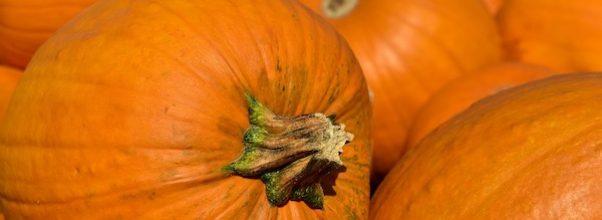 Upper West Side Mom’s COVID-Friendly Halloween Scavenger Hunt Back by Popular Demand Upper West Side Mom’s COVID-Friendly Halloween Scavenger Hunt Back by Popular Demand