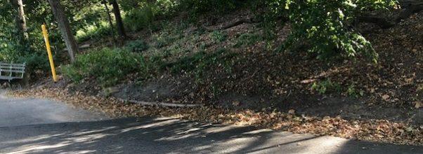 Fallen Branch in Riverside Park Lands on Woman’s Foot, Causes Amputation Fallen Branch in Riverside Park Lands on Woman’s Foot, Causes Amputation