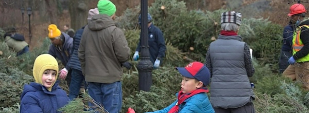 Mulchfest Keeps Chipping Away: Riverside Park Seeks Volunteers